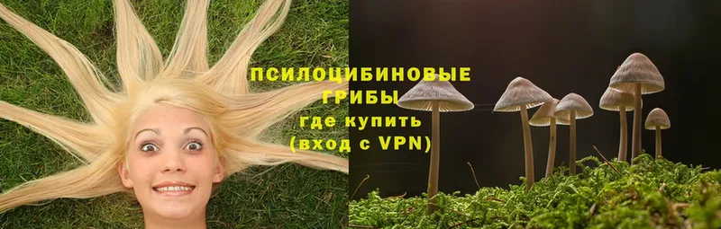 Псилоцибиновые грибы MAGIC MUSHROOMS  Карпинск 